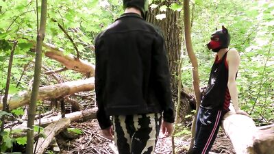 Outdoor pack into the woods