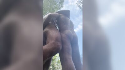 CruisingCumDump - Getting shared by 2 hung cocks Out hunting for cock I found a well hung sexy daddy