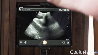 Grant Ducati - Chapter 5 - Professional Help - Grant Ducati and Legrand Wolf