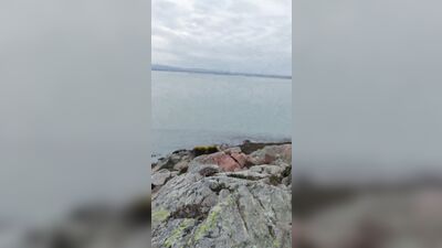 Ridick_7 - Solo - gay porn (79)