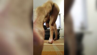 Adam Coussins gay porn video (15)