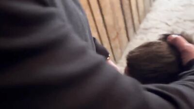 Berlin Piss Pigs