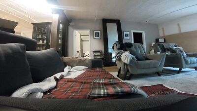 OnlyFans - Fucking Zane Taylor on the sofa - free gay porn