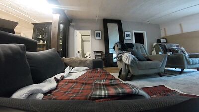 OnlyFans - Fucking Zane Taylor on the sofa - free gay porn