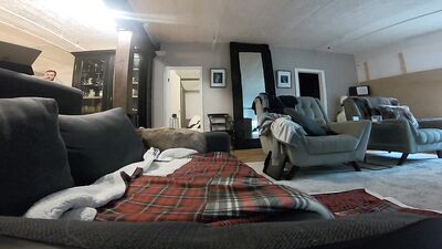 OnlyFans - Fucking Zane Taylor on the sofa - free gay porn