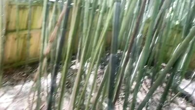 OnlyFans - Rick and Griff - Independence Gays Part 3 - Dalton Riley and The Bamboo Forest - free gay porn