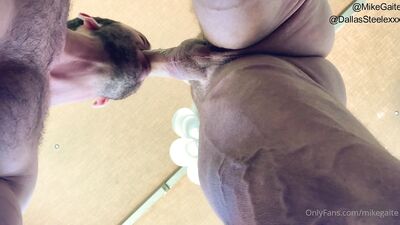 OnlyFans - Dallas Steele & Mike Gaite - free gay porn