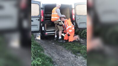 Piggy Builder - gay porn video (60)