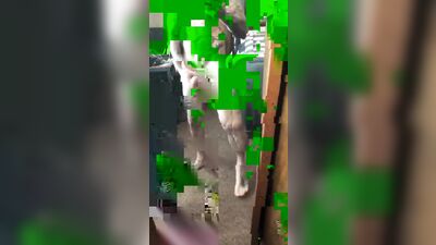Short Gay Clips Porn (Batch 1) (231)