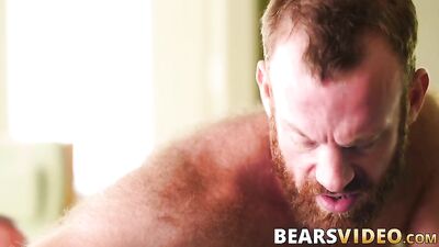 daddy bear brad kalvo eats ginger ass before bareback