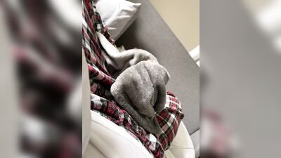 TheStepBrothers - Bg bro rubs Lil bros cock with a plush blanket - 1 min - free gay porn