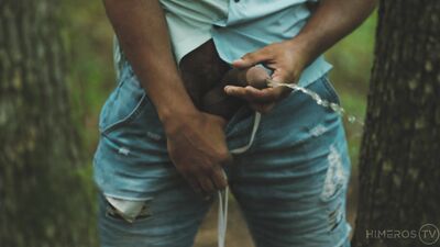 Cruising In The Woods - free gay porn