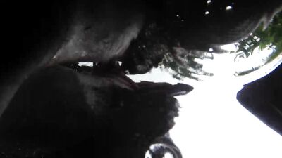 DallasReeves - Bareback pool session with Seth Jonson (and Andrew Colins) 720p