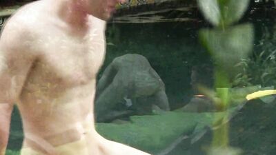 DallasReeves - Bareback pool session with Seth Jonson (and Andrew Colins) 720p