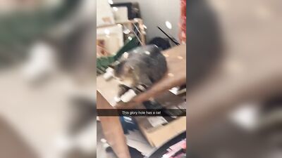 Discord Leak - Gloryhole Gay Porn (1)