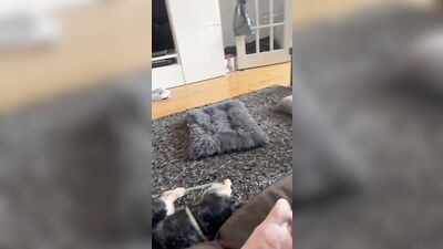 Discord Leak - Cum Dump Gay Porn (45)