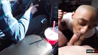 Cocks everywhere - free gay porn