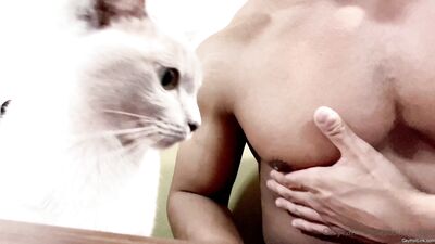 sasukedaru onlyfans (89) - free gay porn