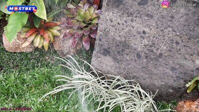 The Gardener Came To Water The Flowers But Poured Sperm On A Russian Slut PussiPay