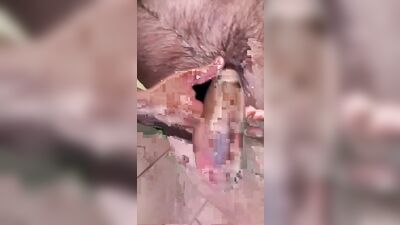 It's Shower Time Gay Porn Video (10)
