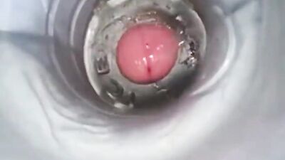 Point of View Gay Porn Video (225)