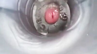 Point of View Gay Porn Video (225)