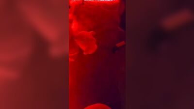 Cuck Hold Gay Porn Video (51)