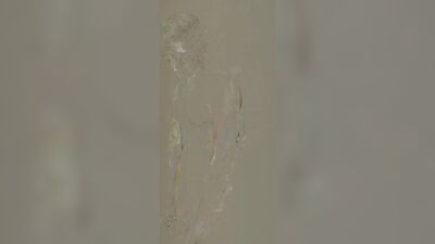 Twunk Media Gay Porn Video (43)