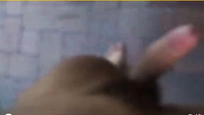 Twunk Media Gay Porn Video (223)