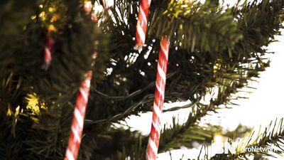 TheBroNetwork - From The Vault Christmas 5-Way - free gay porn
