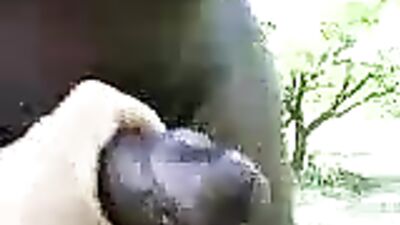 Black cock in my hands