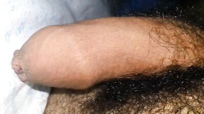 Process Erection Of My Cock In The Bed (22 Year Old)