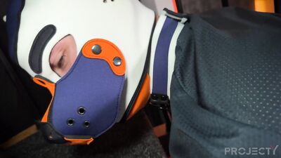 projectYstudios - Dog training - free gay porn