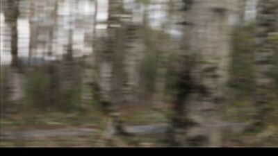 OF - Brent Ray Fraser - Lumberjack jerk off - free gay porn