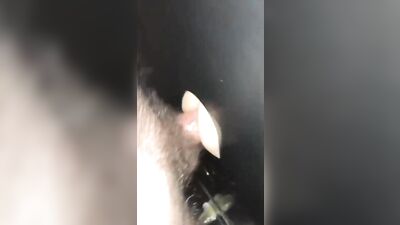 Fun Time at the Glory Hole (30)