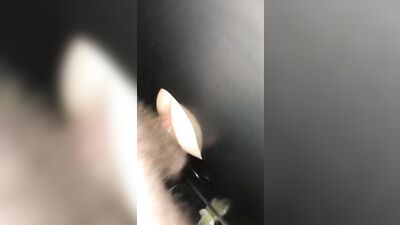 Fun Time at the Glory Hole (30)