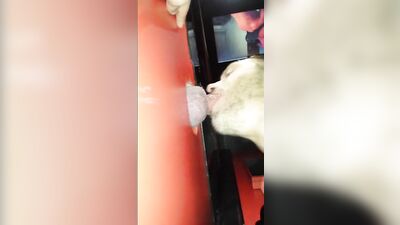 Fun Time at the Glory Hole (23)