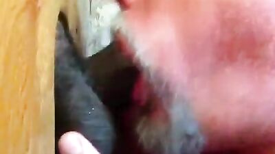 Fun Time at the Glory Hole (144)