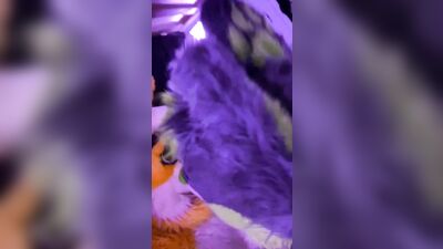 fursuit sex55 - free gay porn