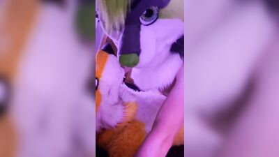 fursuit sex55 - free gay porn