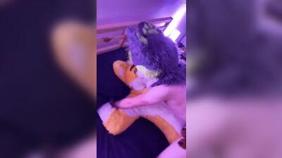 fursuit sex55 - free gay porn