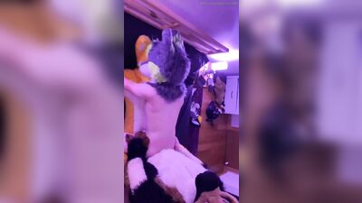 fursuit sex55 - free gay porn