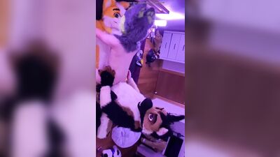 fursuit sex55 - free gay porn