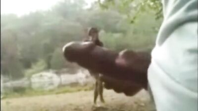 compilation of guys masturbating in public and getting caught - free gay porn