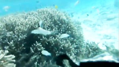 in the ocean - free gay porn