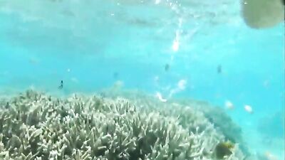 in the ocean - free gay porn