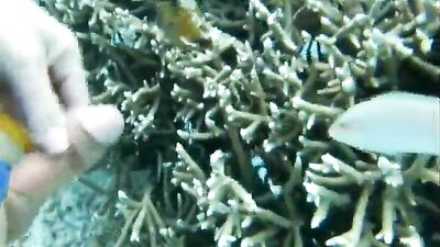 in the ocean - free gay porn