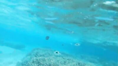 in the ocean - free gay porn