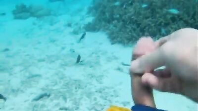 in the ocean - free gay porn