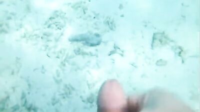 in the ocean - free gay porn